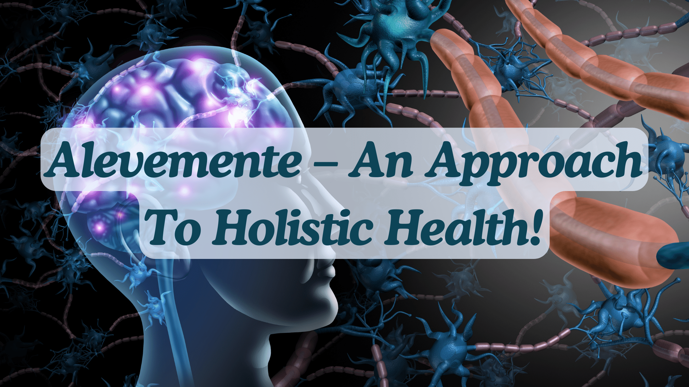 Alevemente – An Approach To Holistic Health!