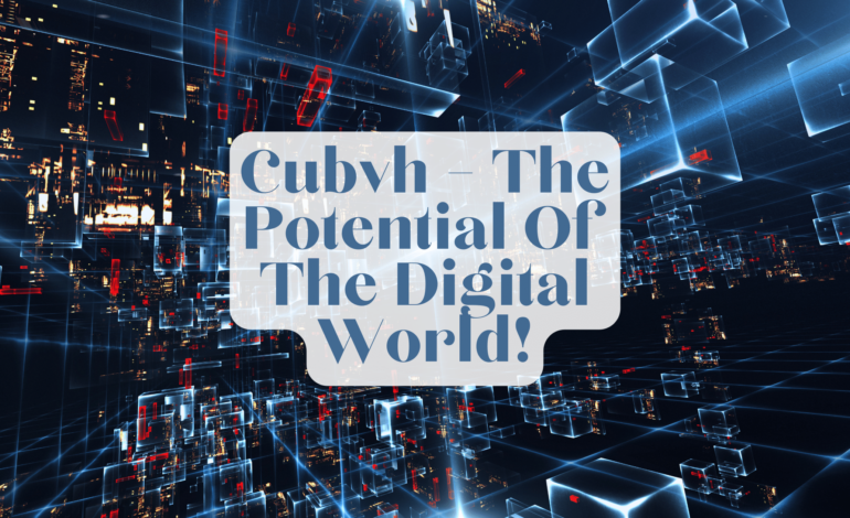 Cubvh – The Potential Of The Digital World!