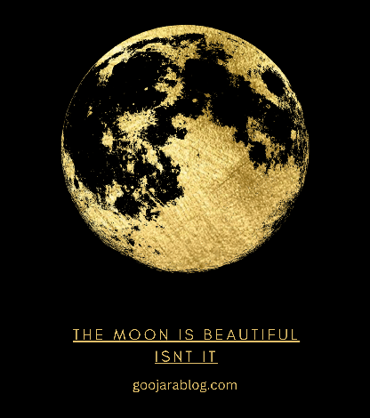 The Moonlit Whisper: Unveiling the Meaning Behind “The Moon is Beautiful, Isn’t It?”