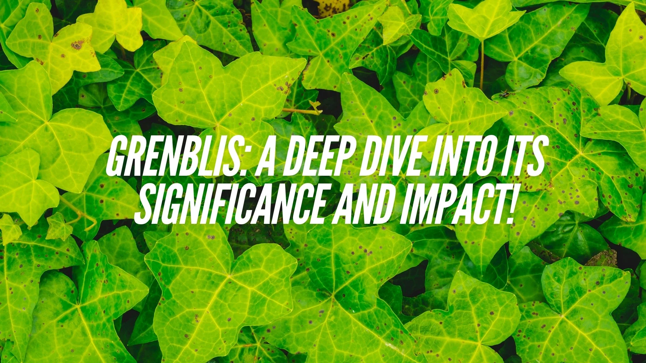 Grenblis: A Deep Dive into Its Significance and Impact!