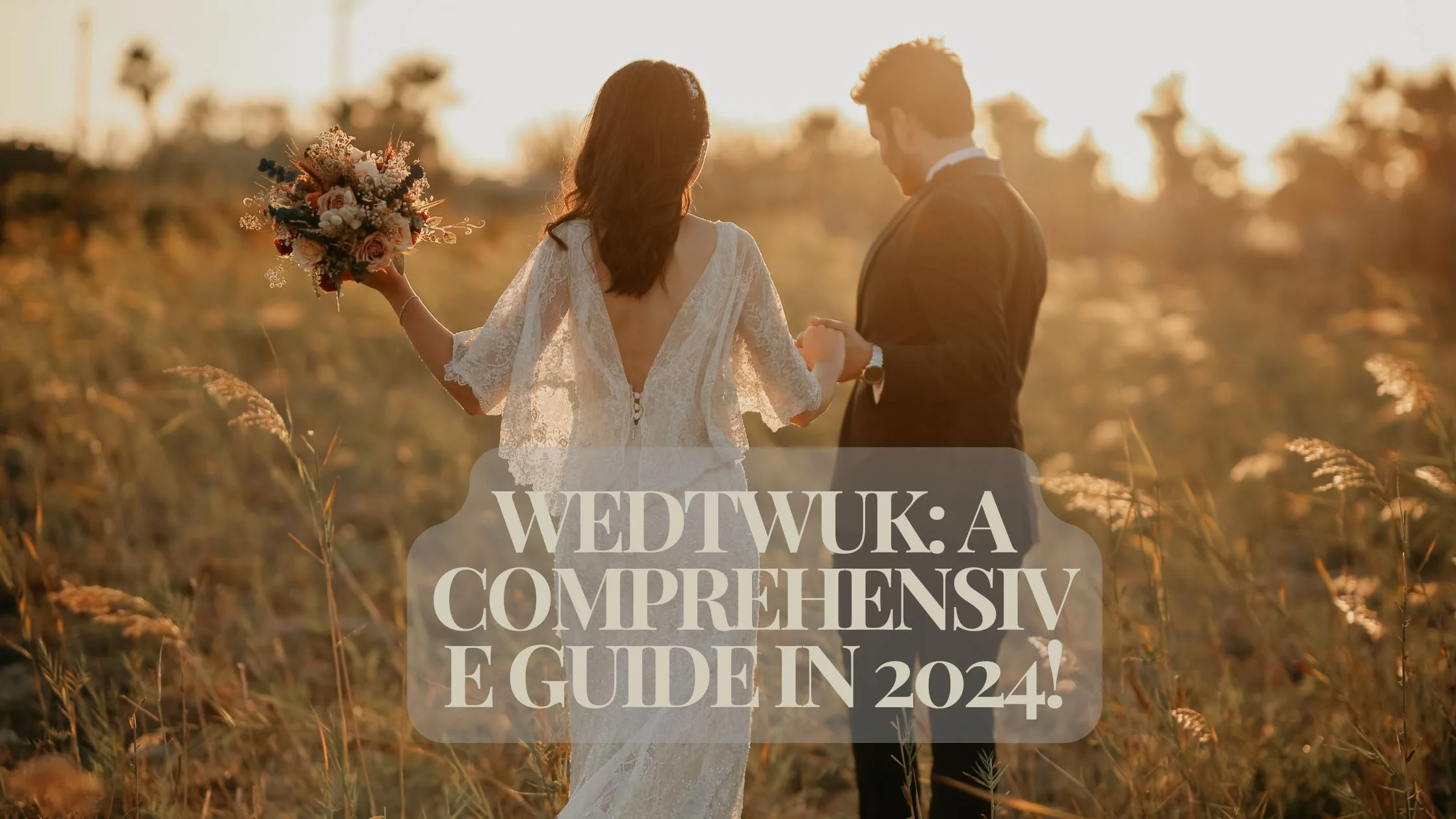 Wedtwuk: A Comprehensive Guide in 2024!